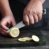 Akarui (あかるい) Japanese Santoku Chef Knife with Ebony Handle