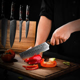 Supreme Pro Japanese Knife Set - 5-Piece, VG10 Damascus with Ebony Burl Wood Handle & Sheath