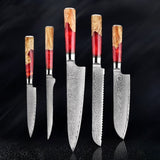 SAKUTO (作東) Japanese Damascus Steel Kitchen Knife Set With Resin Handle