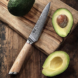 Kasami (かすみ) Japanese Damascus Steel Kitchen Knives Set