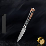 SAKUTO (作東) Japanese Damascus Steel Kitchen Knife Set With Coloured Black Handle