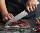 Seiki (清木) Japanese Damascus Steel Knife With Blue Resin Handle