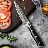 Daichi (だいち) Damascus VG10 Steel Kitchen Knives Set