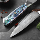 Okugai (おくがい) Damascus Steel Kitchen Knife with Abalone Handle