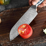 Okugai (おくがい) Damascus Steel Kitchen Knife with Abalone Handle