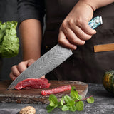 Okugai (おくがい) Damascus Steel Kitchen Knife with Abalone Handle
