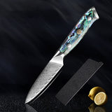 Okugai (おくがい) Damascus Steel Kitchen Knife with Abalone Handle