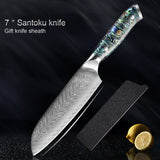 Okugai (おくがい) Damascus Steel Kitchen Knife with Abalone Handle