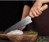SAKUTO (作東) Japanese Damascus Steel Kitchen Knife Set With Coloured Black Handle