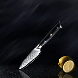 Daichi (だいち) Damascus VG10 Steel Kitchen Knives Set