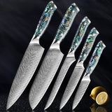 Okugai (おくがい) Damascus Steel Kitchen Knife with Abalone Handle