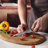 Kasami (かすみ) Japanese Damascus Steel Kitchen Knives Set