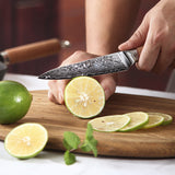Kasami (かすみ) Japanese Damascus Steel Kitchen Knives Set