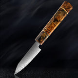 SAKUTO (久拓) Japanese Damascus Steel Kitchen Knife With Coloured Octagonal Handle