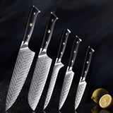 Daichi (だいち) Damascus VG10 Steel Kitchen Knives Set