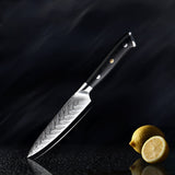 Daichi (だいち) Damascus VG10 Steel Kitchen Knives Set