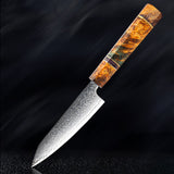 SAKUTO (久拓) Japanese Damascus Steel Kitchen Knife With Coloured Octagonal Handle