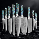 Okugai (おくがい) Damascus Steel Kitchen Knife with Abalone Handle