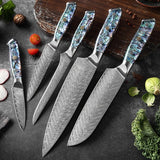 Okugai (おくがい) Damascus Steel Kitchen Knife with Abalone Handle