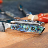 Okugai (おくがい) Damascus Steel Kitchen Knife with Abalone Handle