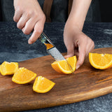Okugai (おくがい) Damascus Steel Kitchen Knife with Abalone Handle