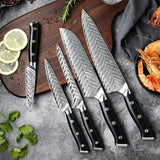 Daichi (だいち) Damascus VG10 Steel Kitchen Knives Set