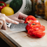 Okugai (おくがい) Damascus Steel Kitchen Knife with Abalone Handle